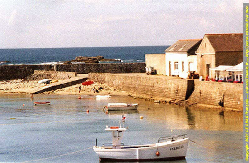 Quai des français libres